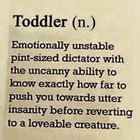 Profile Picture of Holly Mccall (@holly-mccall-2) on Quora