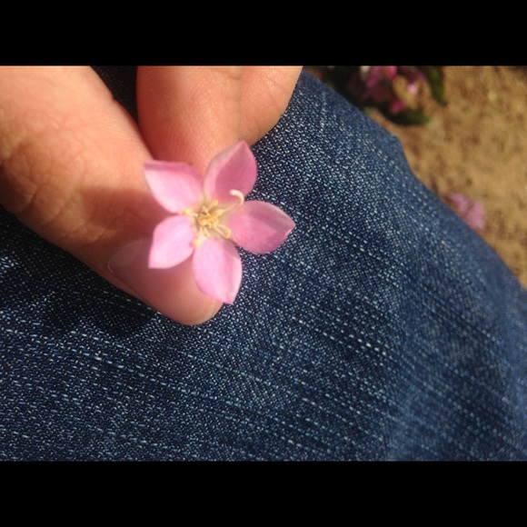 Profile Picture of Jason Marquez (@jalk) on Poshmark