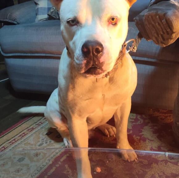 Profile Picture of Roger Coody (@donwon25al) on Poshmark