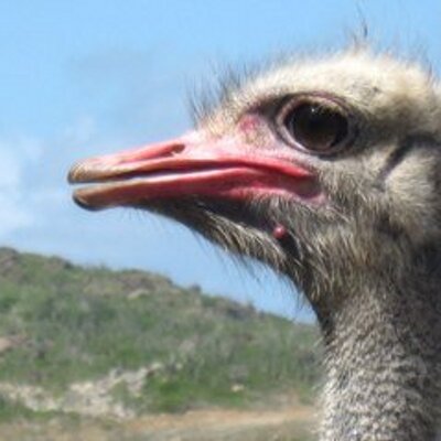 Profile Picture of Doug Clay (@Tiger65432) on Twitter