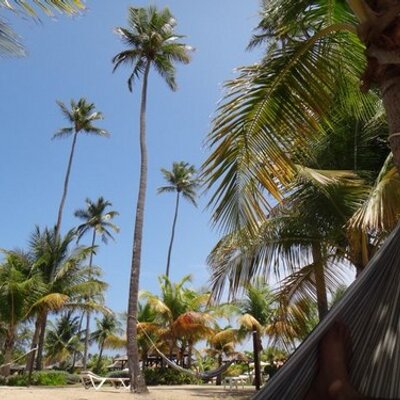 Profile Picture of TIMOTHY REYES (@ReyesTim) on Twitter