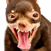 Profile Picture of Jeffrey Serna (@jeffreyserna6284) on Youtube