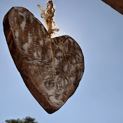 Profile Picture of Bianca Becker (@biancabecker13) on Youtube