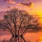 Profile Picture of Jasmine Jenkins (@JasmineJenkins-ze7wt) on Youtube