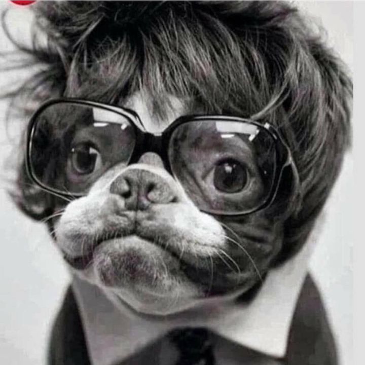 Profile Picture of Jeff Giles (@jefferyg75) on Tiktok
