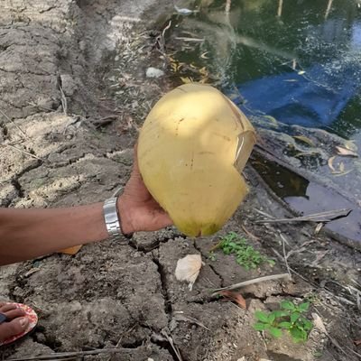 Profile Picture of Ai Lam (@AiLam53045074) on Twitter