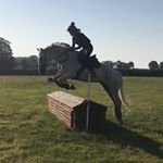 Profile Picture of Chloe Stringer (@_cjs.equestrian_) on Instagram