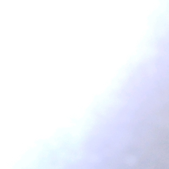 Profile Picture of Hannah Sjostrom (@sjostromh) on Poshmark