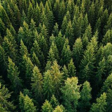 Profile Picture of Alexander Mengel (@alexander_84) on Twitter