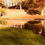 Profile Picture of Veiders Sandro (@veiderssandro) on Instagram