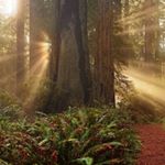 Profile Picture of Brian Peavey (@brianpeavey123) on Instagram