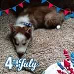 Profile Picture of Evan Stuart (@trump2020_keep_america_great) on Instagram