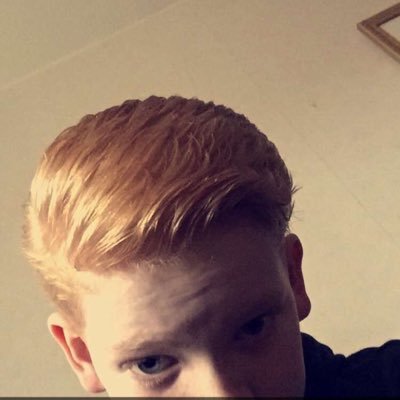 Profile Picture of Alex (@alex_malm_3) on Twitter