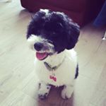 Profile Picture of Darcie (@darcieraydays) on Instagram