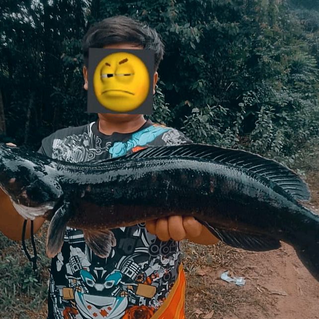 Profile Picture of 𝗔𝗱𝗮〽️𝗖𝗮𝘀𝘁𝗲𝗿🎣 (@adamzcaster) on Tiktok
