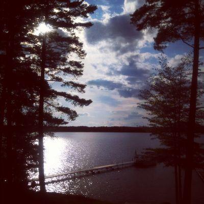 Profile Picture of Laura Baum (@ljbaum04) on Twitter