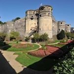 Profile Picture of Daniel Micheline (@danielmicheline) on Instagram