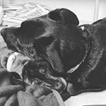 Profile Picture of Devon Woolley (@xx_d3v0n_w00ll3y_xx) on Instagram