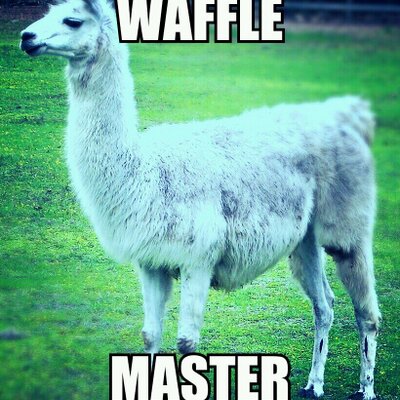 Profile Picture of Quentin Knox (@quentin_knox) on Twitter