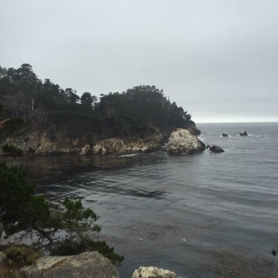 Profile Picture of Brad Chesney (@Bchez4) on Twitter