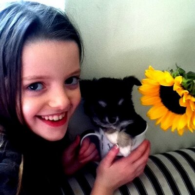 Profile Picture of Teddy Scott-smith (@teddyscottsmith) on Twitter