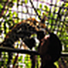Profile Picture of David Koh (@David Koh) on Flickr