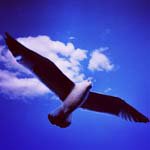Profile Picture of _Brent_Allison_ (@_brent_allison_w) on Instagram