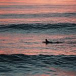 Profile Picture of chris_hargrove10 (@chris_hargrove10) on Instagram