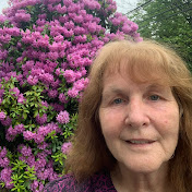 Profile Picture of Deborah Davison (@deborahdavison375) on Youtube