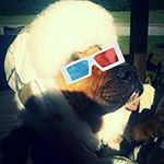 Profile Picture of evan wheeler (@alberteasten) on Instagram