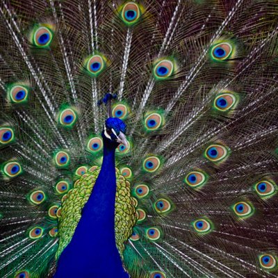 Profile Picture of Dawn Ehret (@momydearst) on Twitter