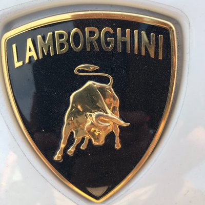 Profile Picture of Lamborgini_nascar3ric (@EricLongoriaAl2) on Twitter