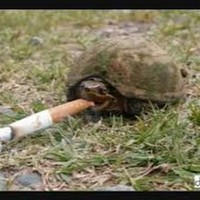 Profile Picture of Hunter Dyer (@hunter-dyer-3) on Quora