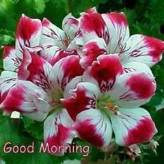 Profile Picture of Sharmin Hoque Mone (@sharminhoque.mone) on Facebook