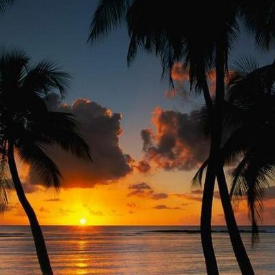 Profile Picture of John Tones (@JohnTones1) on Twitter