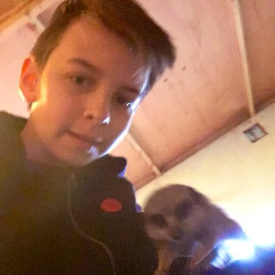 Profile Picture of Daniel Danielski (@gdanielska100) on Twitter
