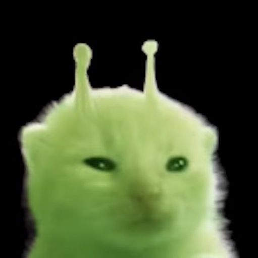 Profile Picture of Thomas (@thomasherbert_) on Tiktok
