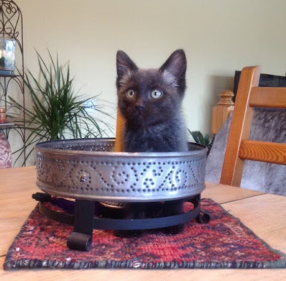 Profile Picture of Daran Plunkett (@dvplunkett) on Poshmark