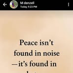 Profile Picture of Tamara Shally (@Tamara-Shally) on Facebook