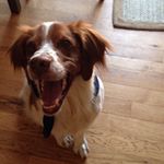 Profile Picture of Sammy Jeter (@sammy.thebrit) on Instagram