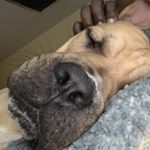 Cass Henry - Instagram Profile Picture of Cass Henry (@cassy_henry) on Instagram