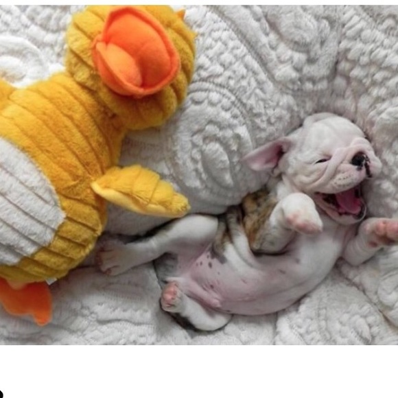 Profile Picture of Alexys Lenzo (@alenzo) on Poshmark