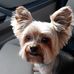 Profile Picture of Bobby Gene Tew (@bobby.g.tew) on Facebook