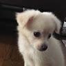 Profile Picture of Jeremy Taggart (@@jeremytaggart4) on Tiktok
