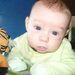 Profile Picture of Sheree Martin (@zerry) on Pinterest