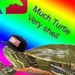 Profile Picture of Joshua Lile (@joshualile) on Instagram