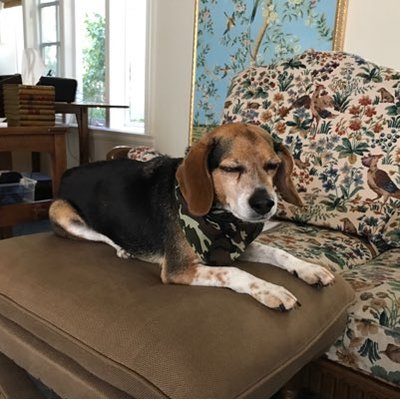 Profile Picture of Darren Huang (@DardarMe) on Twitter