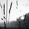 Profile Picture of Carsten Peter Currier-Elbert (@Privat Project Website) on Flickr