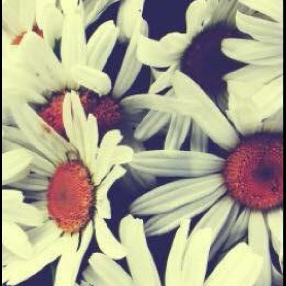 Profile Picture of Katlyn Purdom (@katlynpurdom) on Poshmark