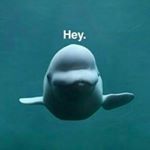 Profile Picture of Jonny, Lara und Janina (@jonnlarnina) on Instagram